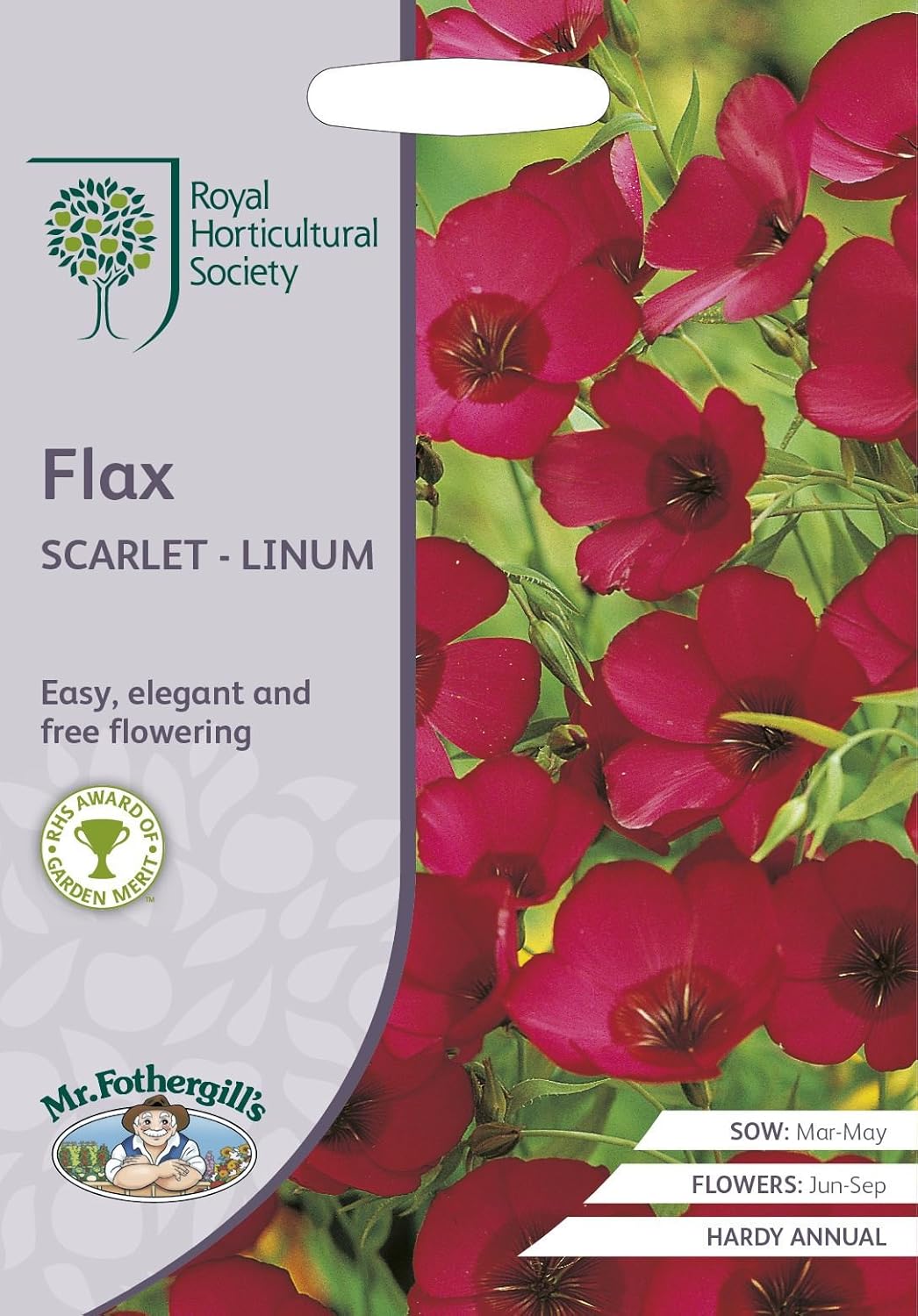AllotMate Essentials RHS Scarlet Flax 500 Linum Seeds for Red Flowers