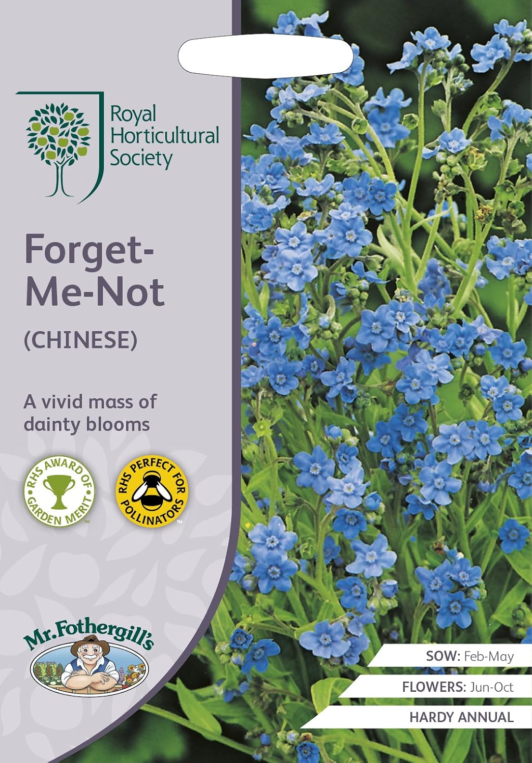 AllotMate Essentials RHS Forget-Me-Not Chinese Seeds – 300 Blue Flower Seeds