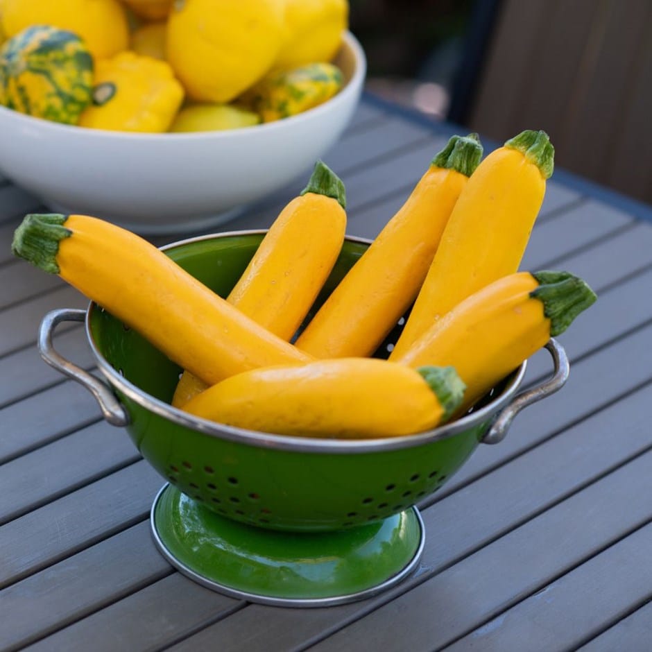 AllotMate Essentials RHS Vegetables for Containers Collection – 6 Varieties