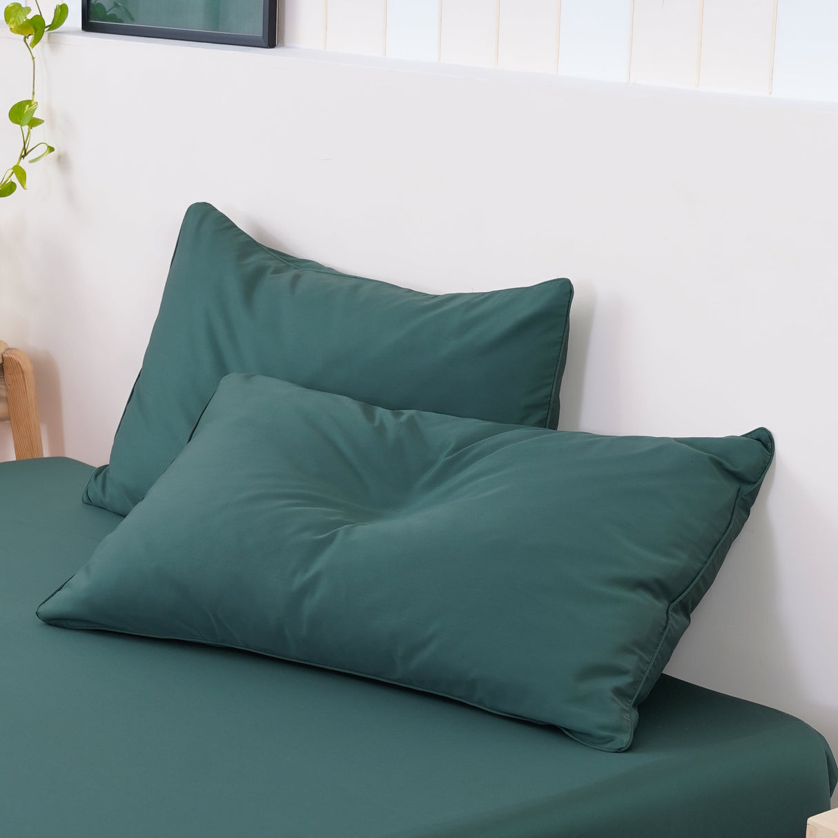 SHEET STORY Ackly Bamboo - Royal Green Pillowcases Pair