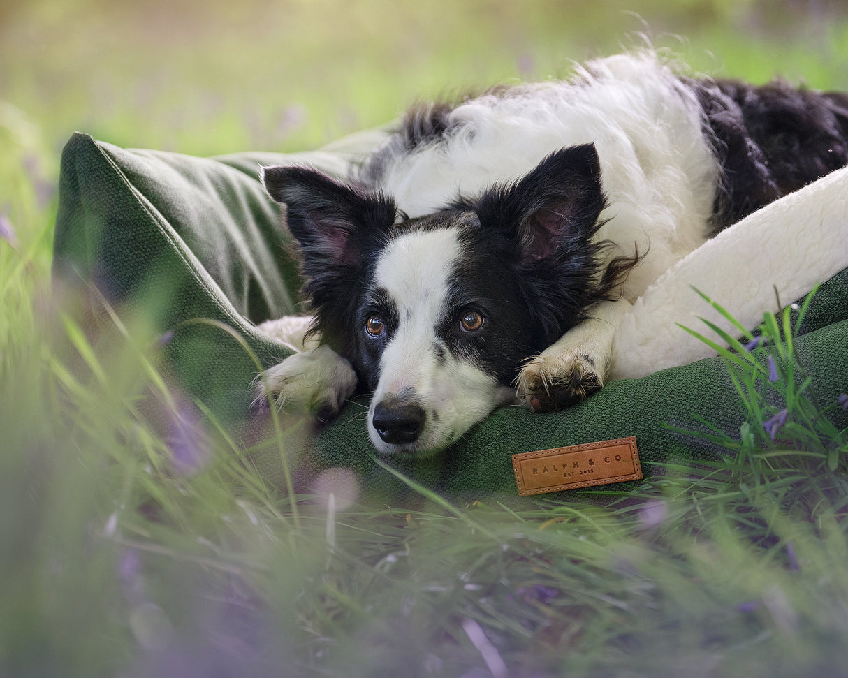 Ralph & Co Richmond Luxury Green Dog Bed