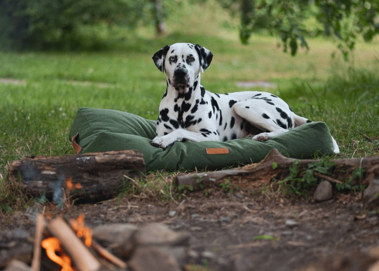 Ralph & Co Richmond Luxury Pillow Dog Bed