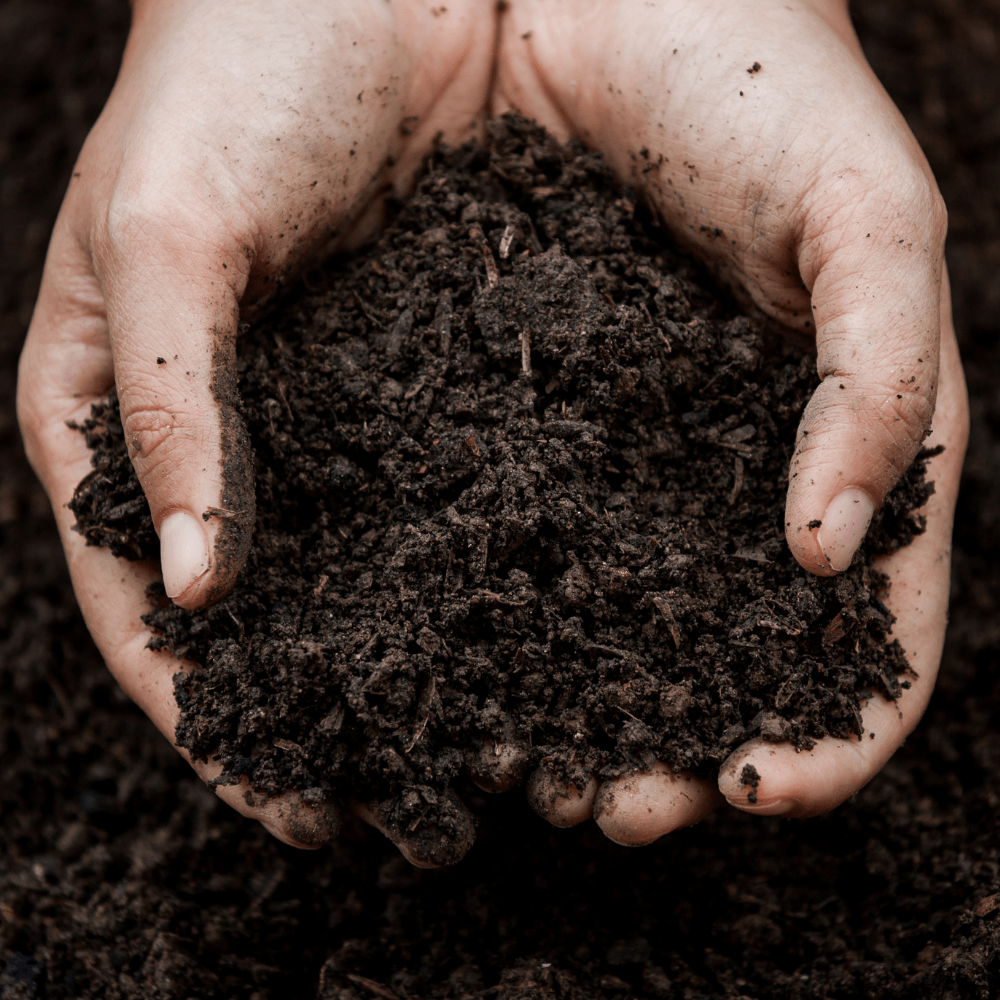 Dandy’s Soil Improver & Conditioner