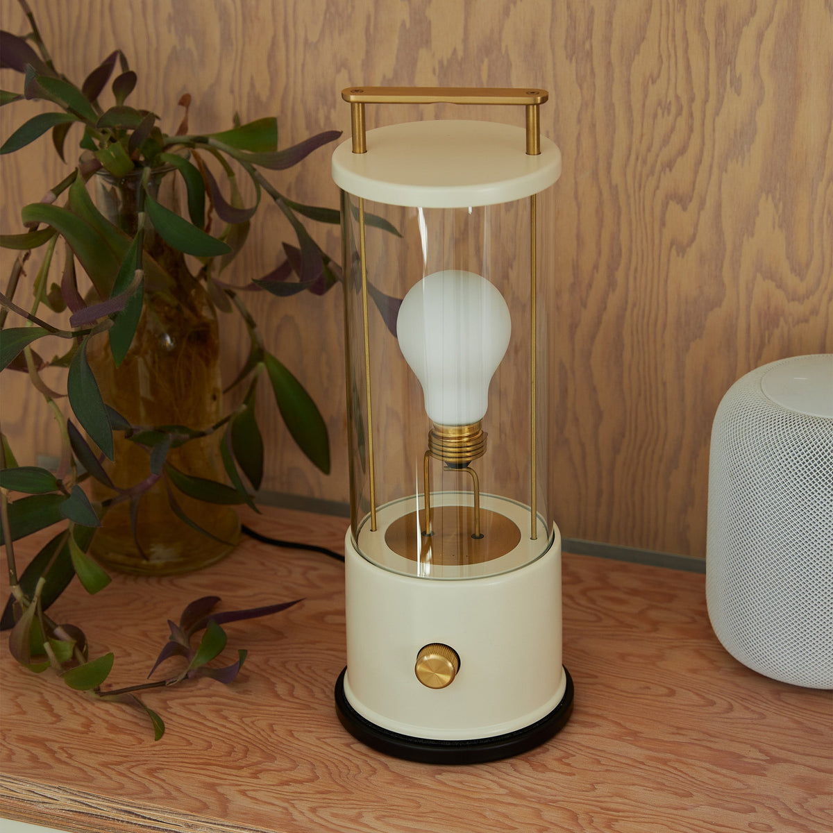 Tala The Muse 1.0 Portable Lamp Candlenut White Bundle