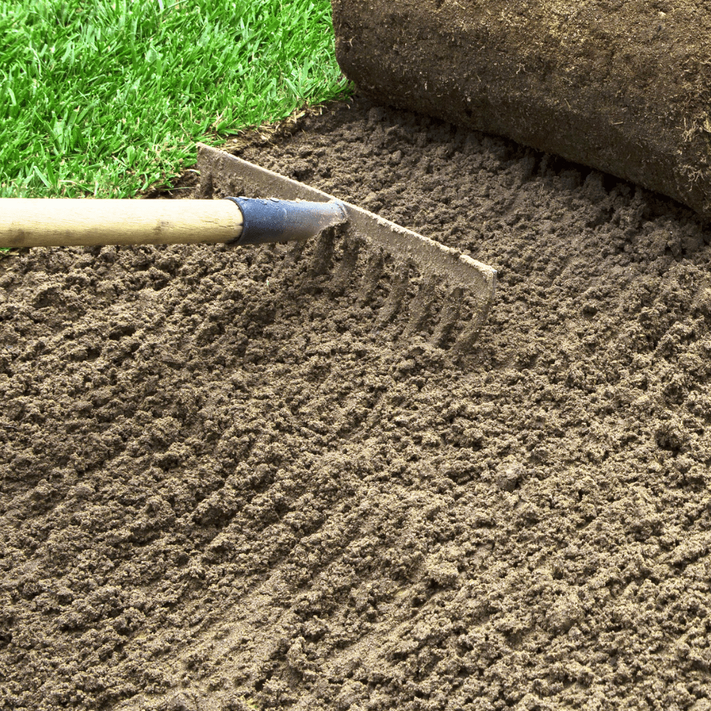 Dandy's TurfSand
