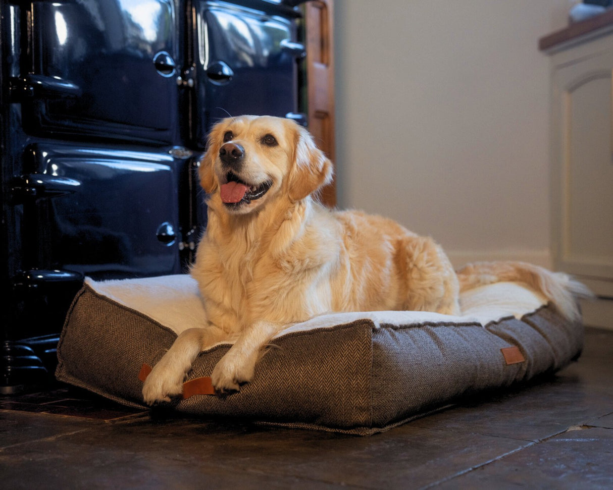 Ralph & Co Lincoln Luxury Pillow Dog Bed