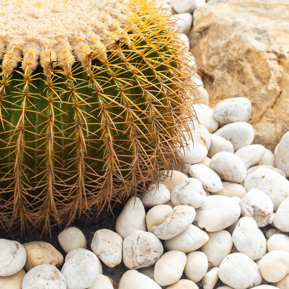 Dandy's White Pebbles 20–40mm Bulk Bag