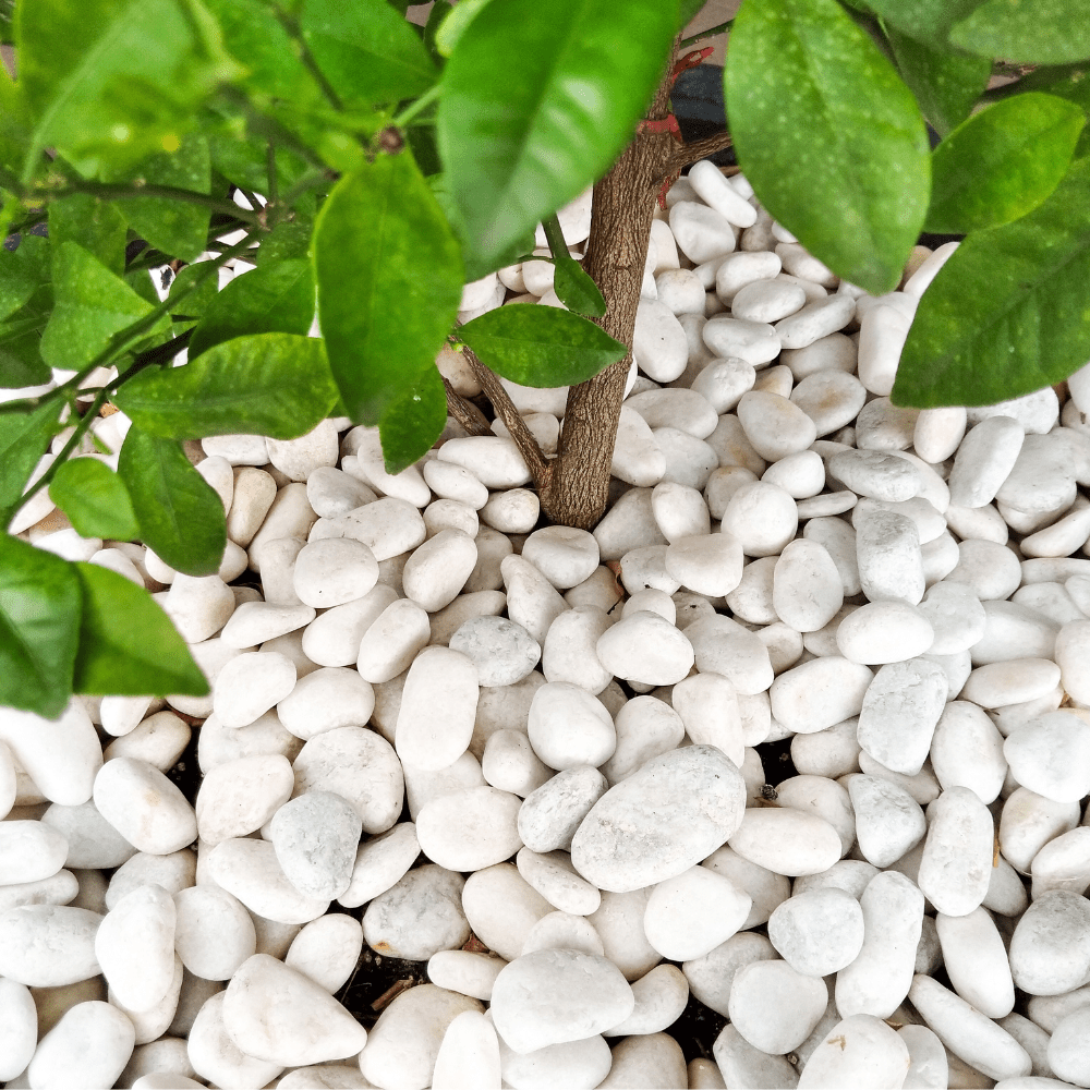 Dandy's White Pebbles 20–40mm Bulk Bag