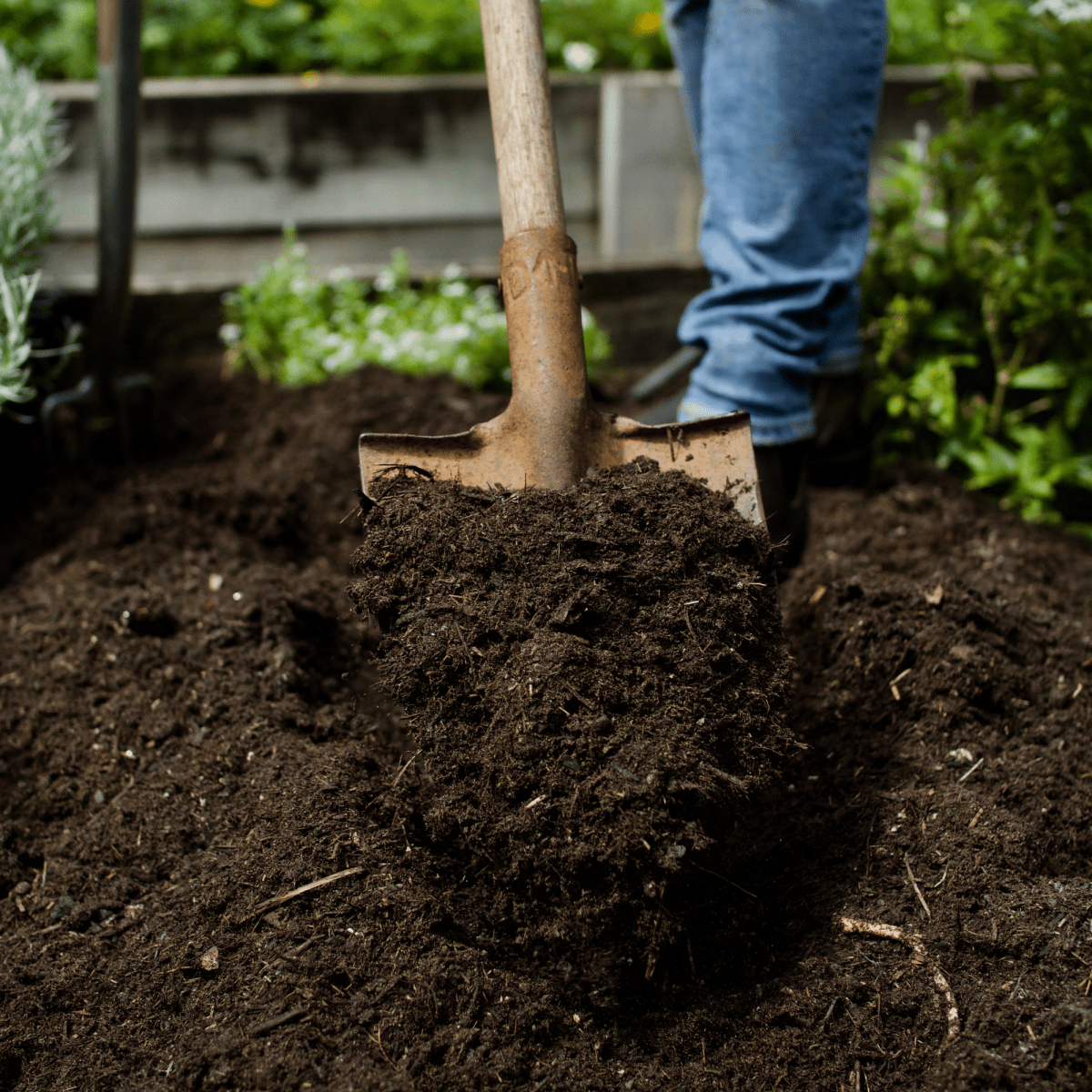Dandy’s WinterMix Compost Garden Mulch