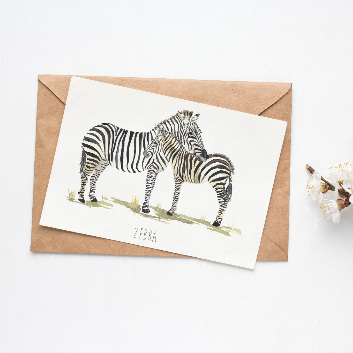 Zebra Greetings Card | Katie Hipwell Design