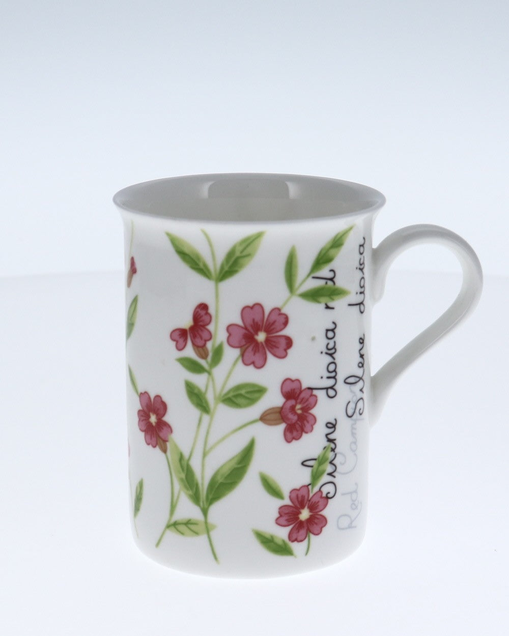 Image - Rayware Botanical Fine Bone China Mugs, Assorted