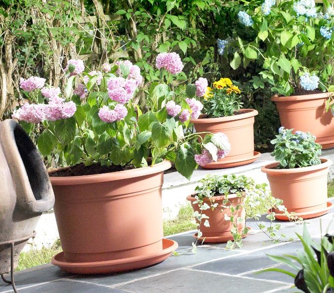 Image - Whitefurze 34cm Milano Saucer, Terracotta