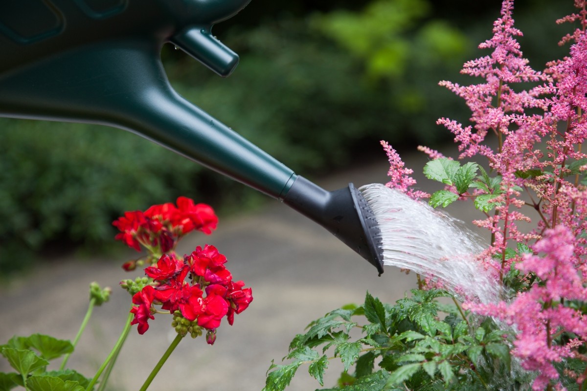 Image - Whitefurze Watering Can, 6L, Red