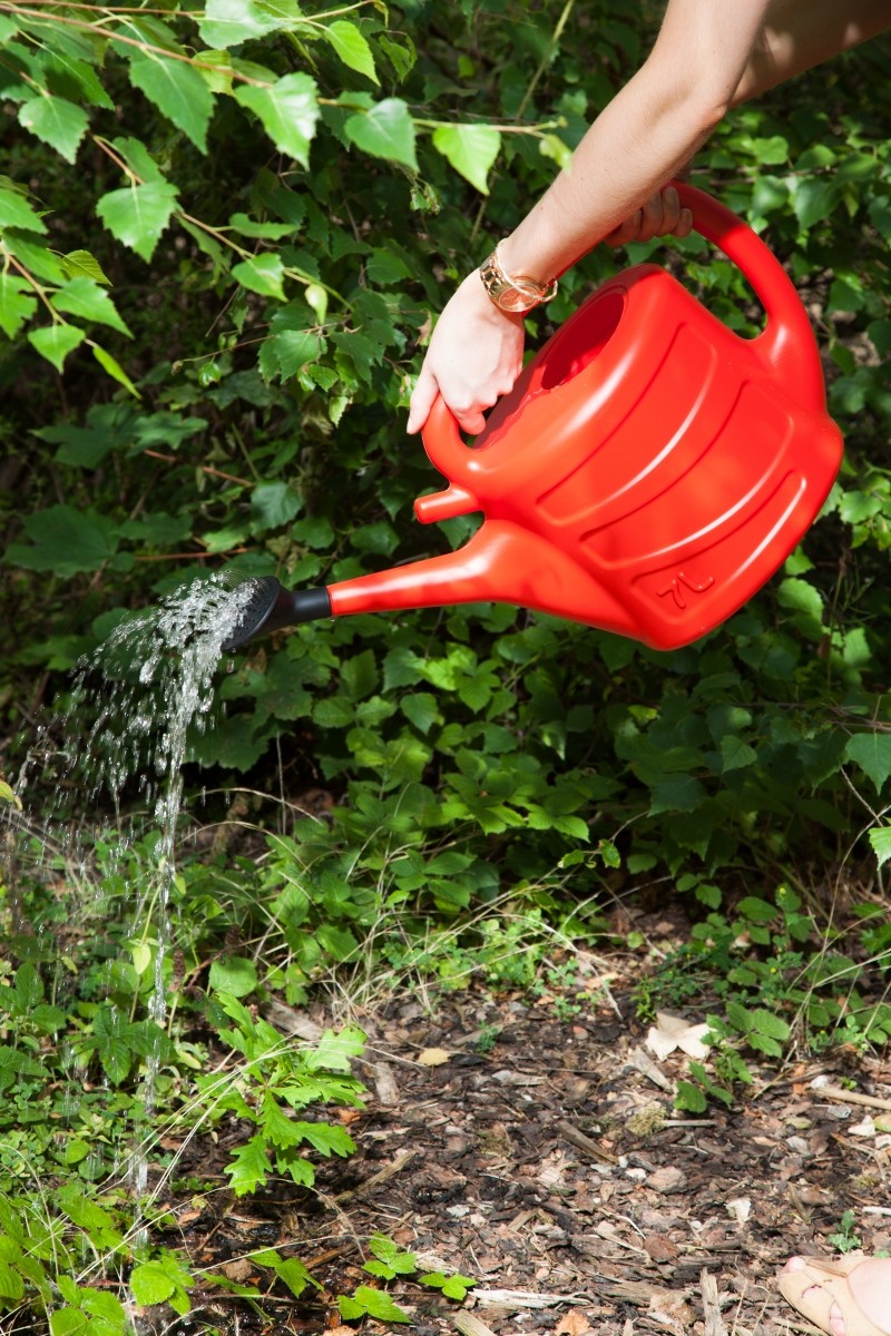 Image - Whitefurze Watering Can, 7L, Green