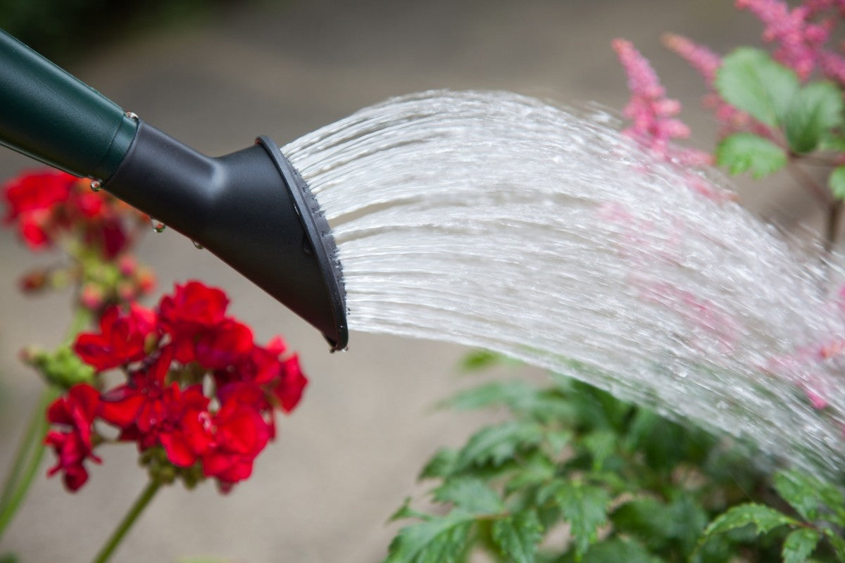 Image - Whitefurze Watering Can, 7L, Red