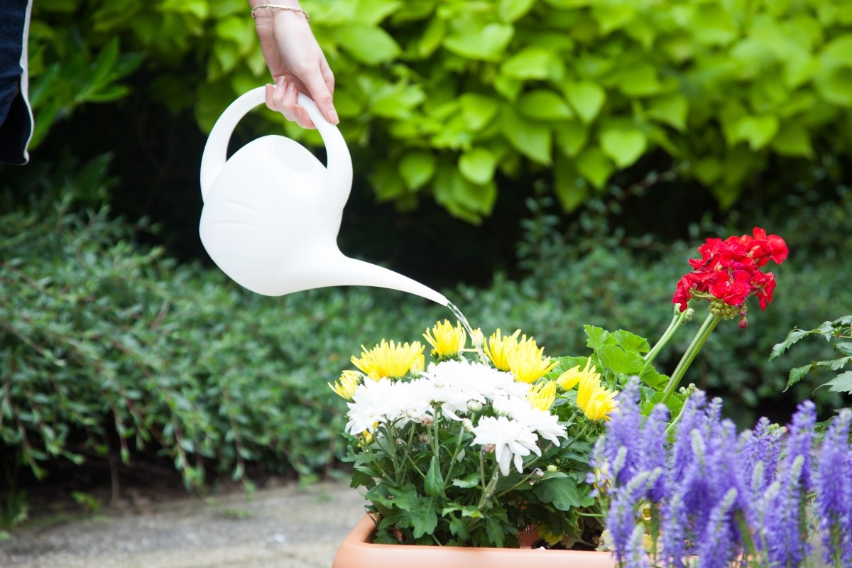 Image - Whitefurze Indoor Watering Can, 2.5L, White