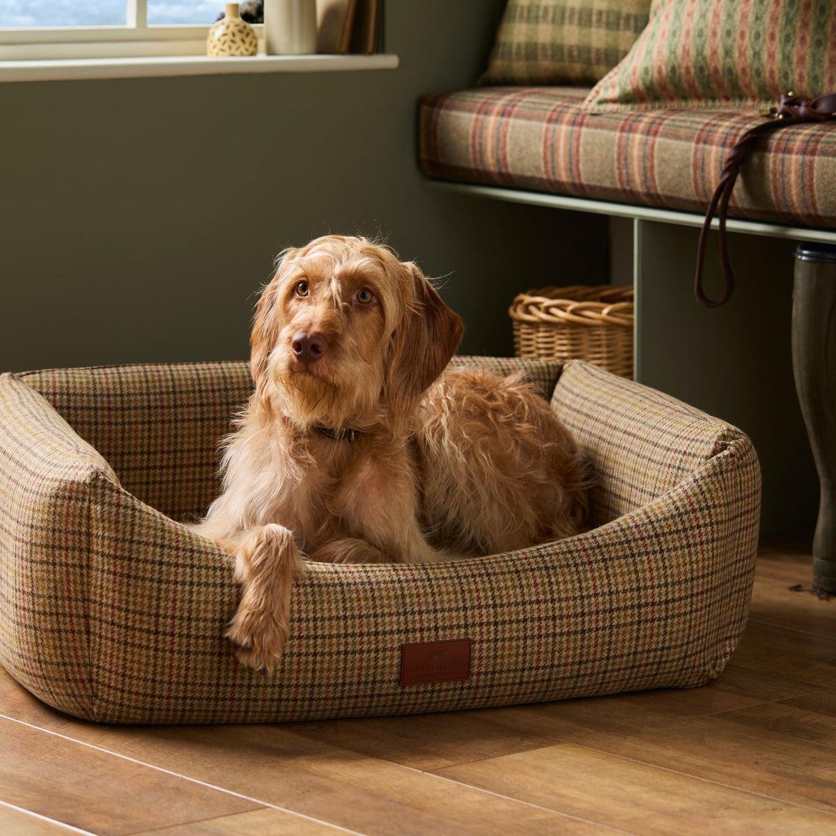 Creating a Calm Haven: How Calming Donut Beds Reduce Dog Anxiety