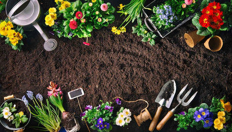 The Importance of High-Quality Topsoil in Landscaping Projects