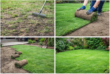 From Patchy Lawns to Perfect Grass: The Benefits of Using TurfStore for Lawn Renovation