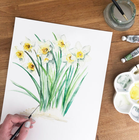 Katie Hipwell Design Daffodils March Birth Flower Watercolour Print