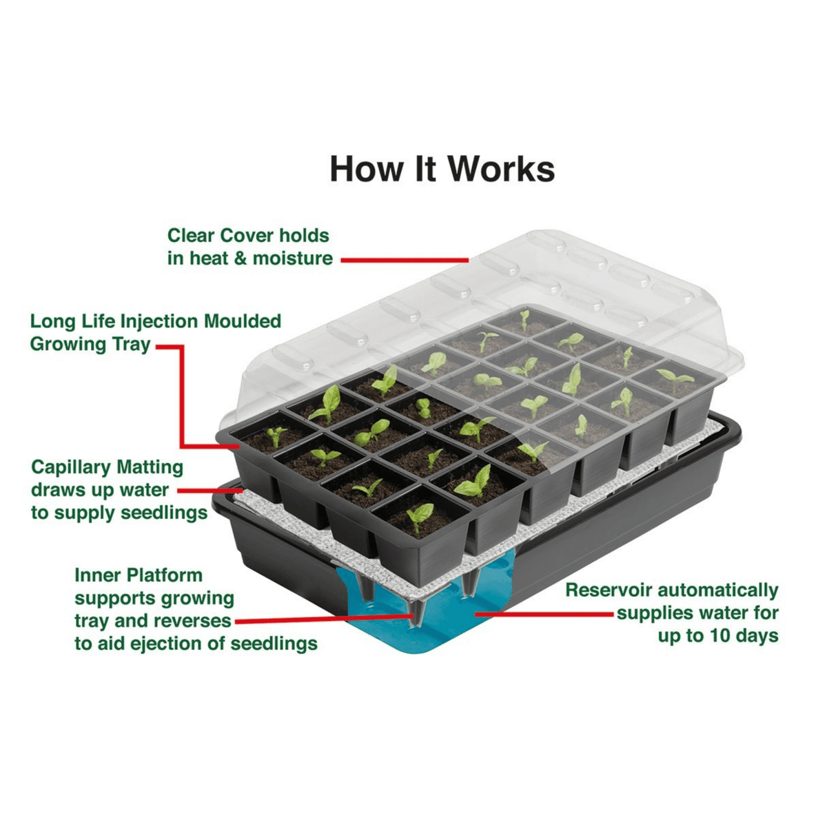 AllotMate Essentials 12 Cell Self-Watering Seed Success Kit