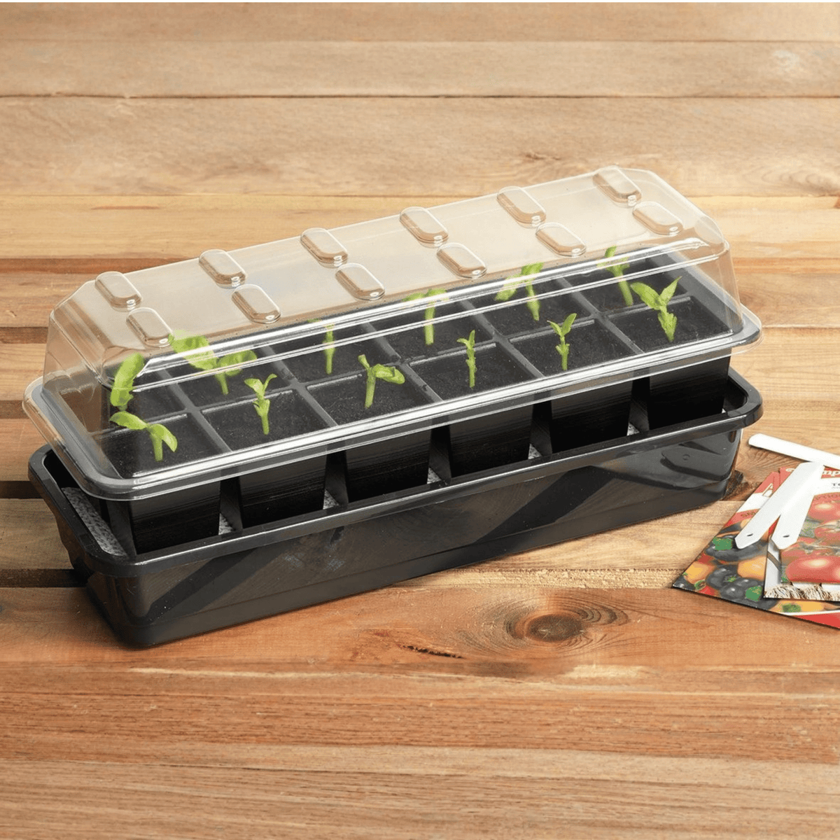 AllotMate Essentials 12 Cell Self-Watering Seed Success Kit