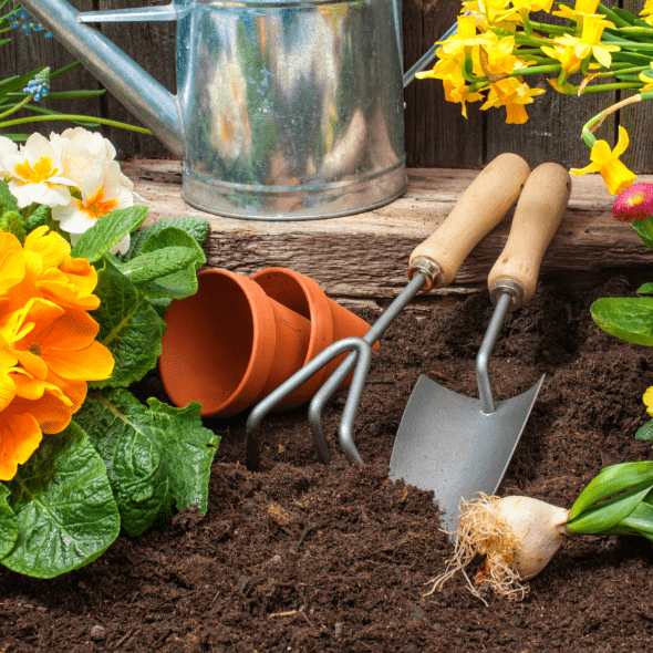 Dandy’s Summermix Compost Garden Mulch