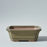 Yorkshire Bonsai Green Glazed Bonsai Pot Rectangle - 12cm