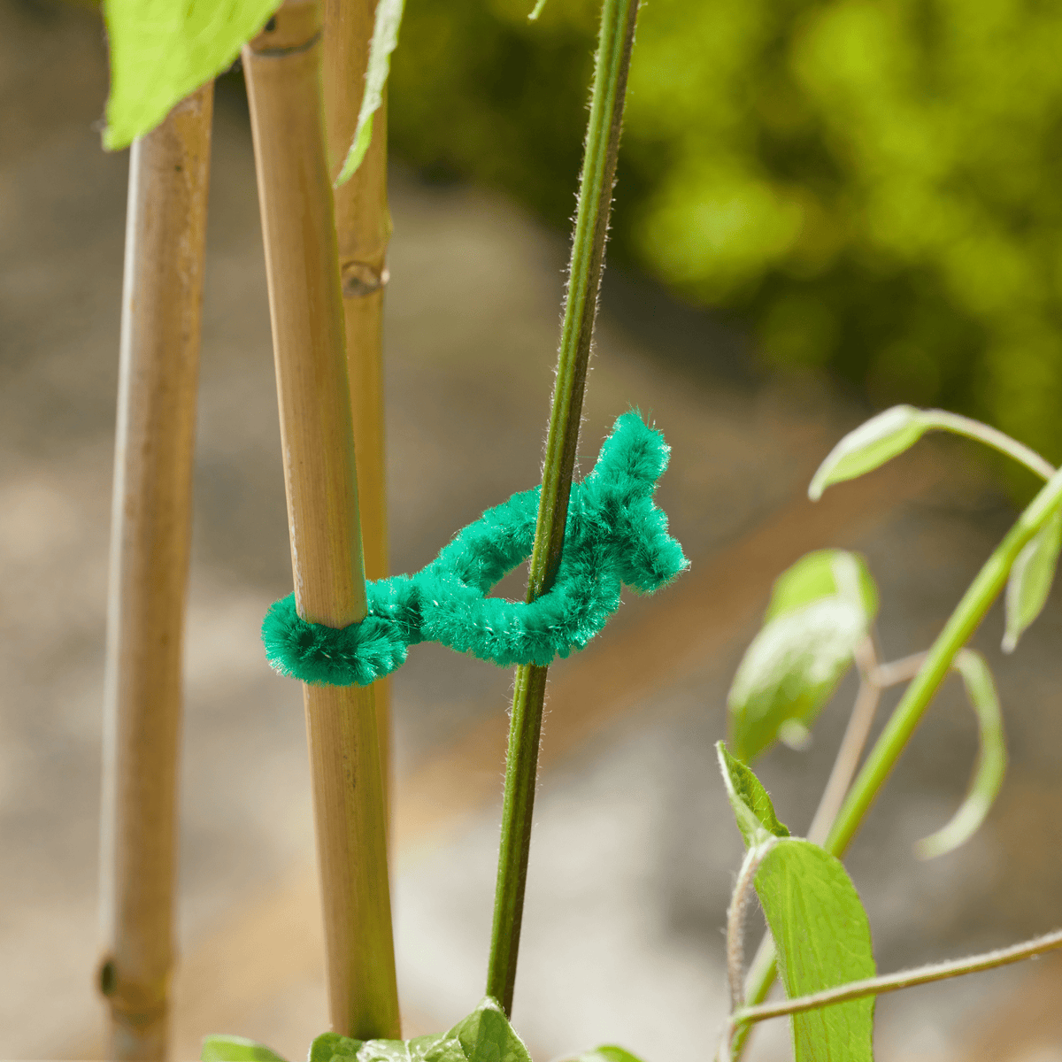 AllotMate Essentials 15cm Softies Plant Ties 50 Pack for Delicate Stems