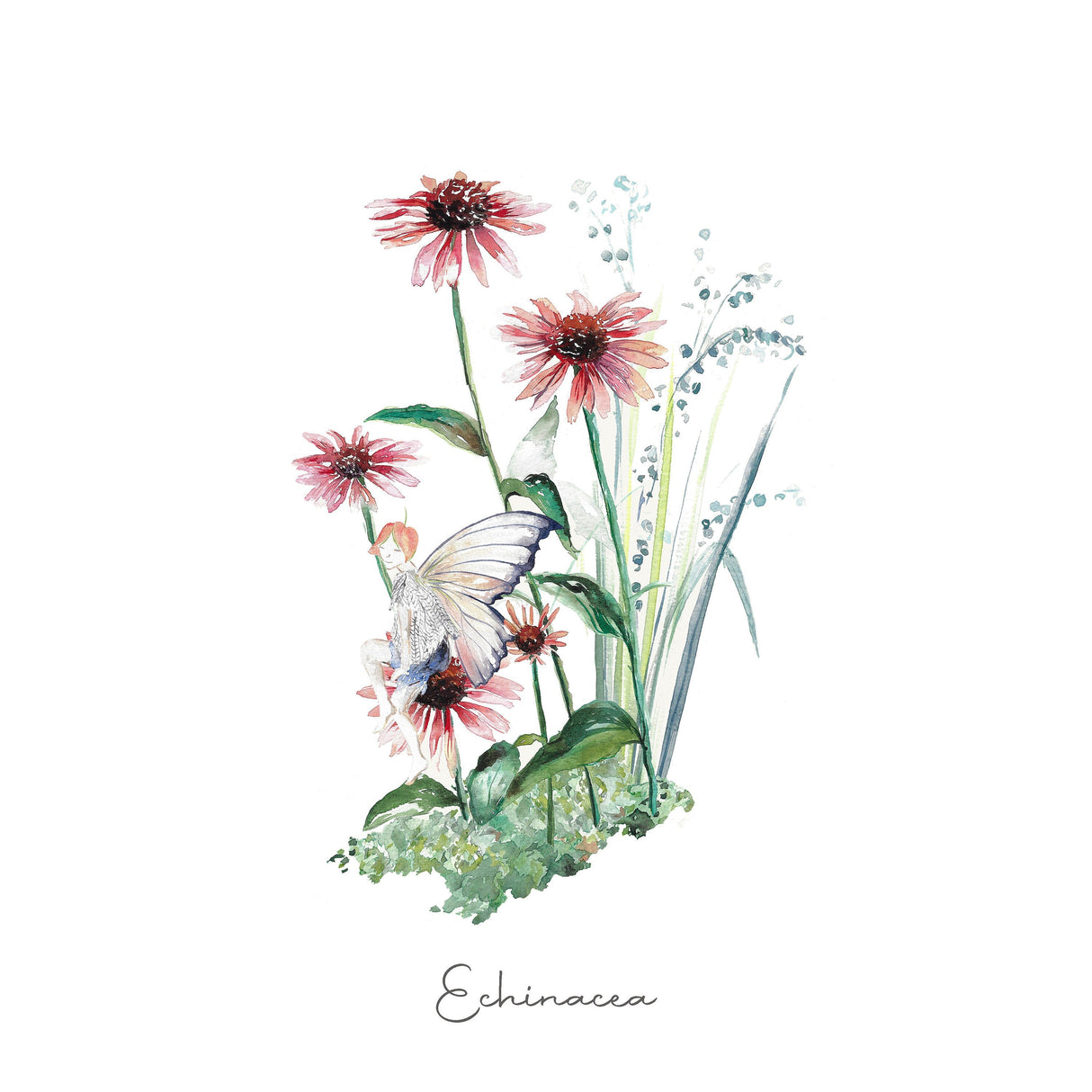 Echinacea Fairy Fine Art Print | Katie Hipwell Design