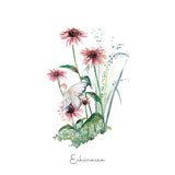 Echinacea Fairy Fine Art Print | Katie Hipwell Design
