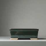 Yorkshire Bonsai Black Glazed Rectangle Bonsai Pot - 16cm