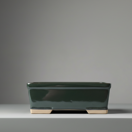 Yorkshire Bonsai Black Glazed Rectangle Bonsai Pot - 16cm