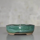 Yorkshire Bonsai Oval Glazed Bonsai Pot Green - 16cm