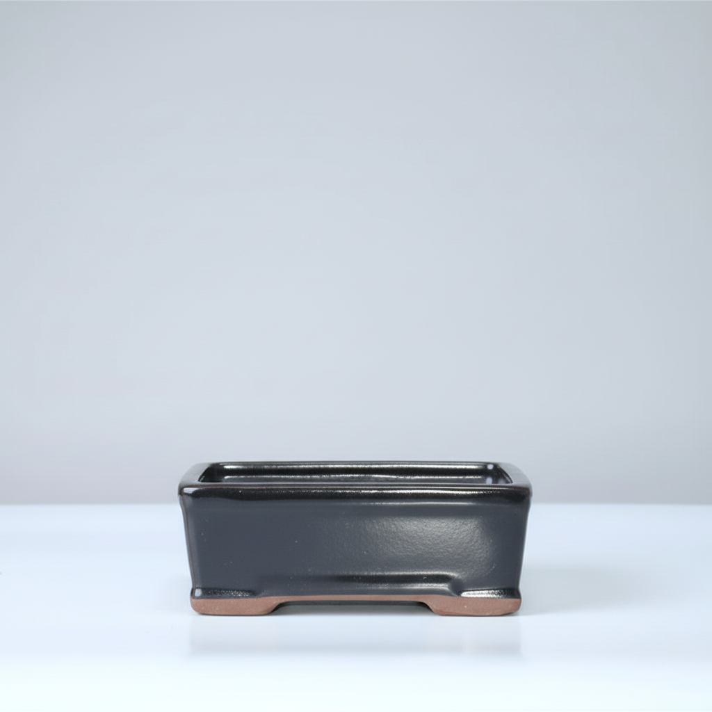 Yorkshire Bonsai Black Glazed Rectangle Bonsai Pot - 16cm