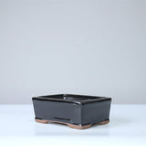 Yorkshire Bonsai Black Glazed Rectangle Bonsai Pot - 16cm