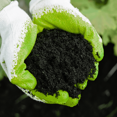 Dandy’s Soil Improver & Conditioner