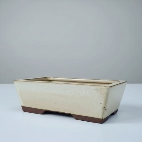Yorkshire Bonsai Rectangular Glazed Bonsai Pot White - 22cm