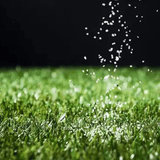 Dandy's Lawn Dressing Sand for Lawns & Overseeding