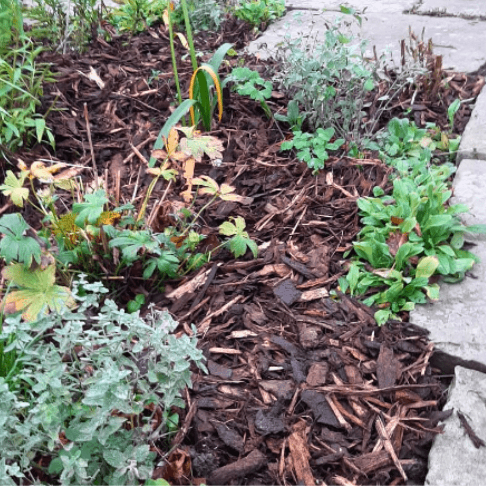 Dandy’s Landscaping Garden Bark Mulch