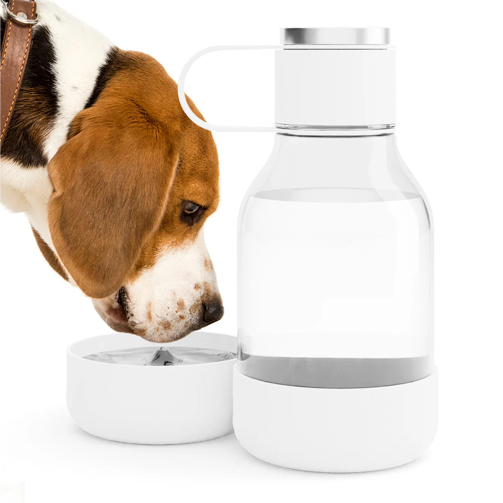 Asobu Dog Bowl Bottle Lite, 50 oz, White