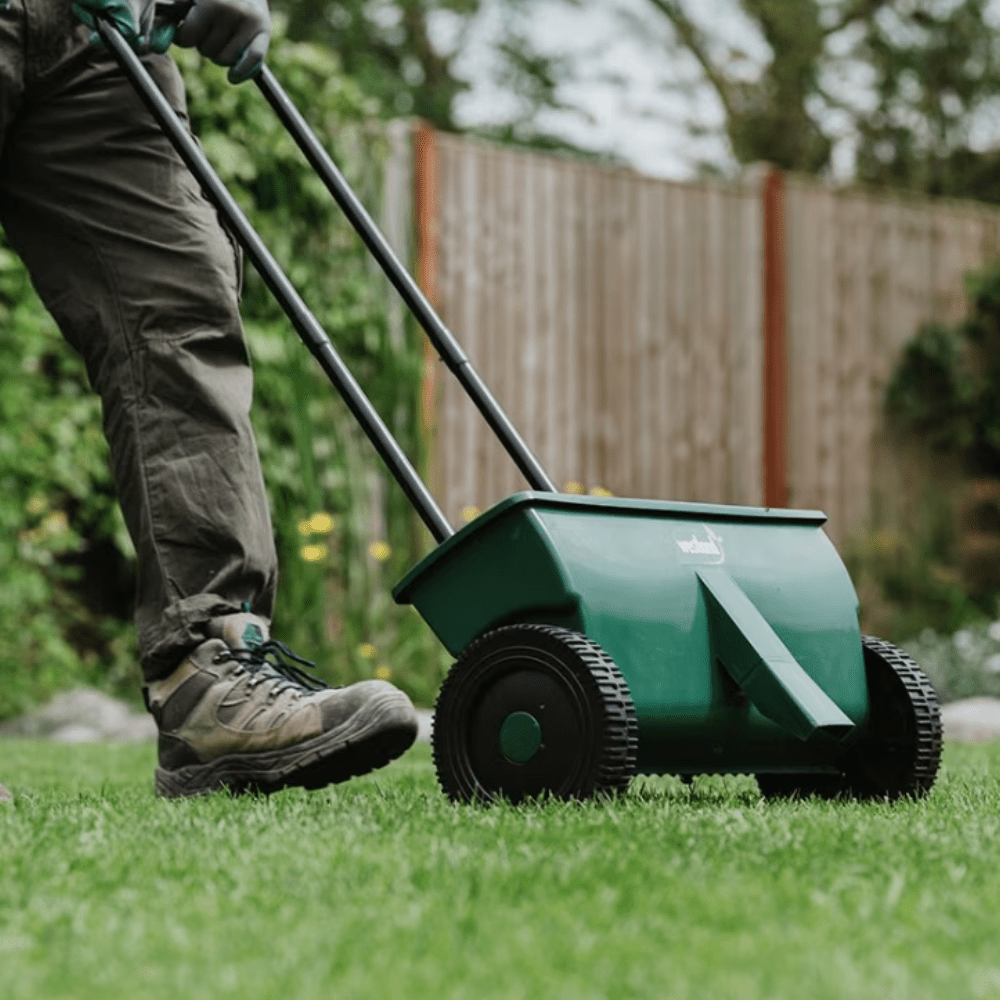Dandy's Complete Lawn Care Kit
