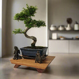 Yorkshire Bonsai Handcrafted Mahogany Bonsai Stand
