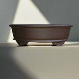 Yorkshire Bonsai Unglazed Oval Bonsai Pot Brown Ceramic - 31cm