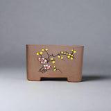 Yorkshire Bonsai Unglazed Cascade Bonsai Pot Brown - 19cm x 12cm
