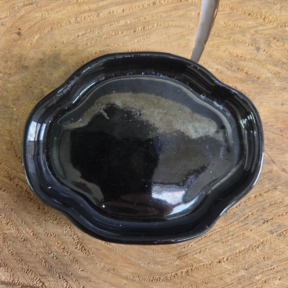 Yorkshire Bonsai Black Glazed Floral Drip Tray - 12cm