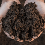 Dandy's Premium Welsh Topsoil