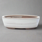 Yorkshire Bonsai Oval Glazed Bonsai Pot White - 20cm