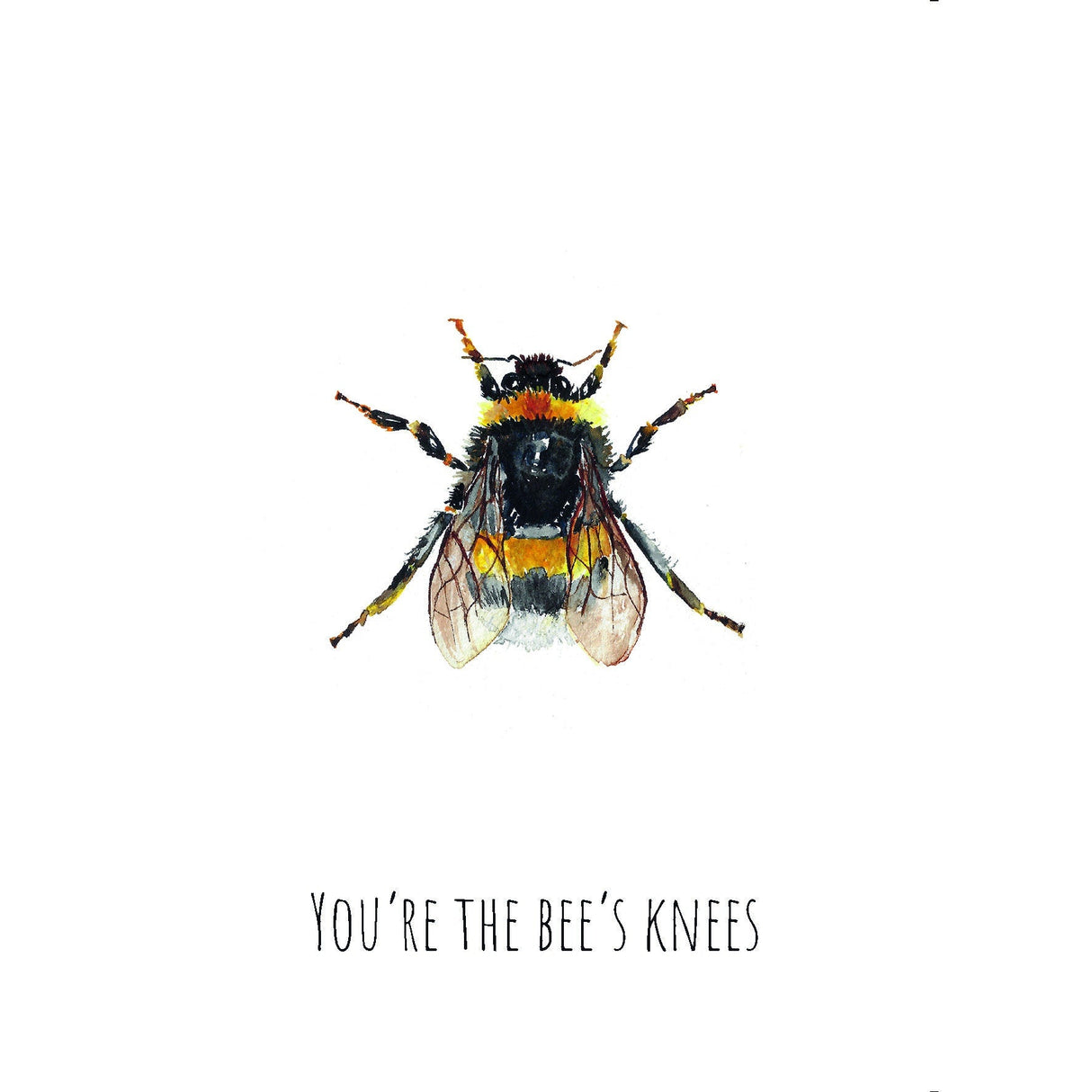 Bumble Bee Watercolour Greetings Card | Katie Hipwell Design