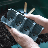 AllotMate Essentials 24 Cell Self-Watering Seed Success Kit Propagator